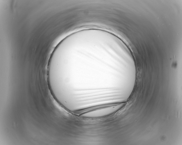 X0000093601535200711121136