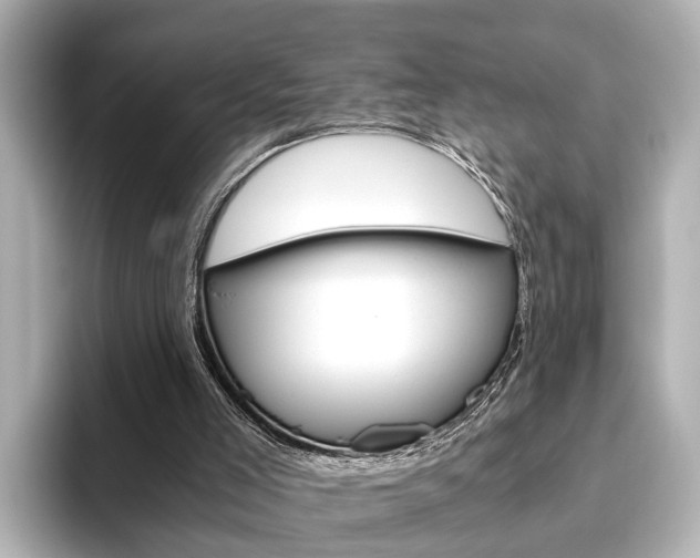 X0000093610005200710151024