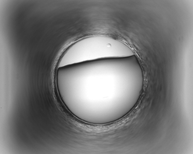 X0000093610006200710151024