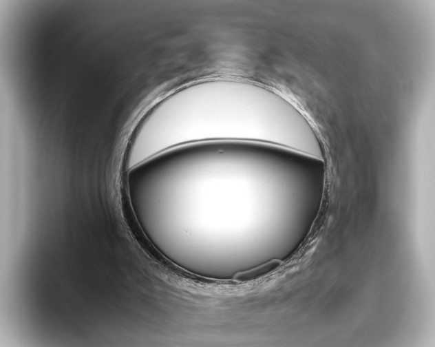 X0000093610007200710151024
