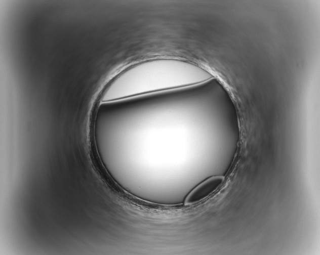 X0000093610008200710151024
