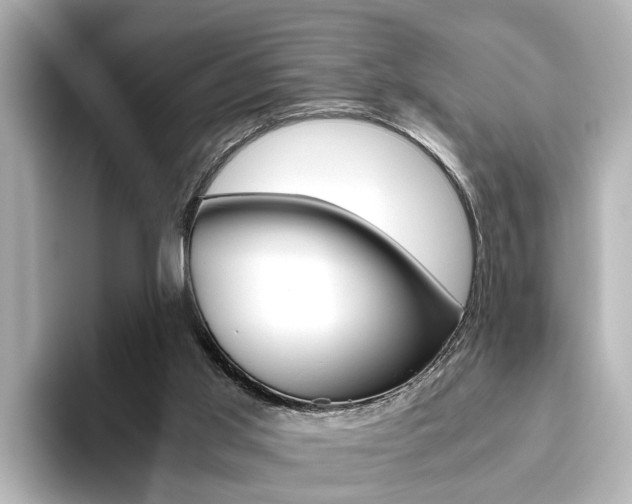 X0000093610013200710151024