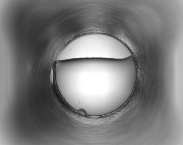 X0000093610014200710151024