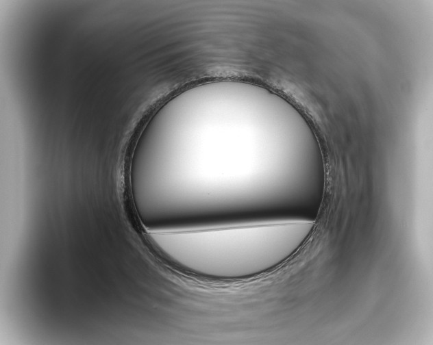 X0000093610015200710151024