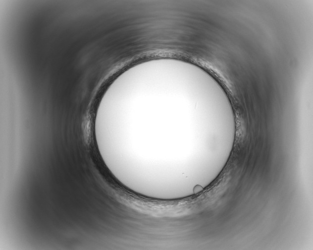 X0000093610016200710151024