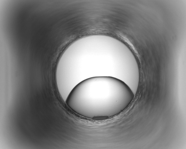 X0000093610019200710151024