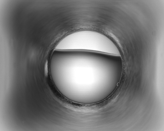 X0000093610020200710151024