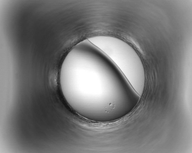 X0000093610023200710151024