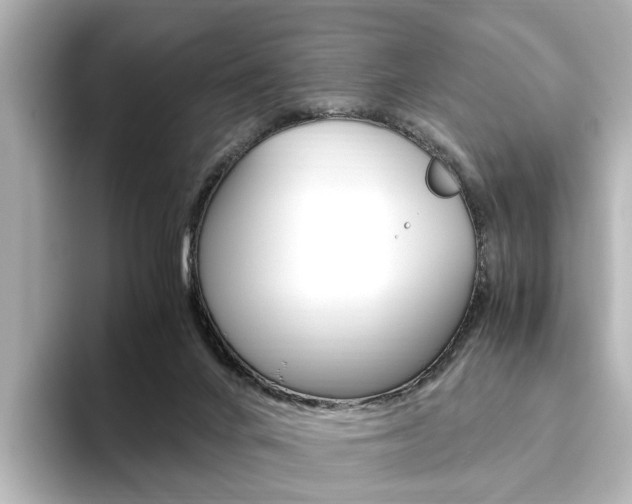 X0000093610024200710151024