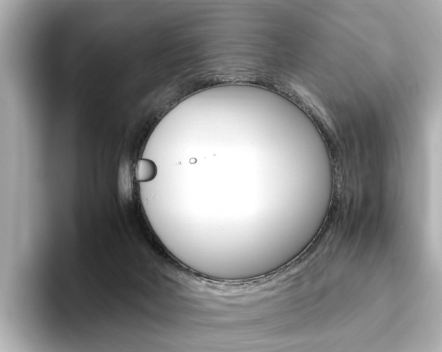 X0000093610026200710151024