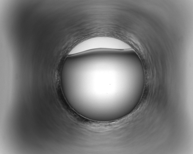 X0000093610029200710151024