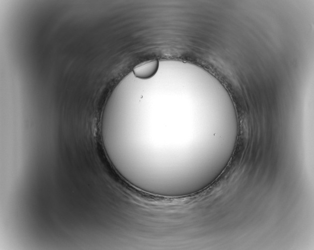 X0000093610032200710151024