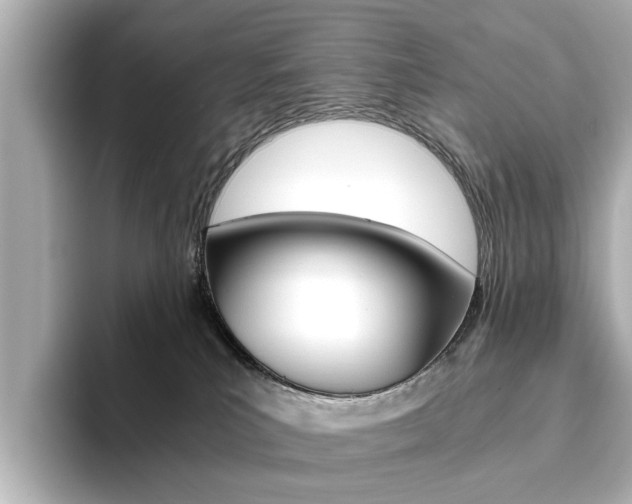 X0000093610039200710151024