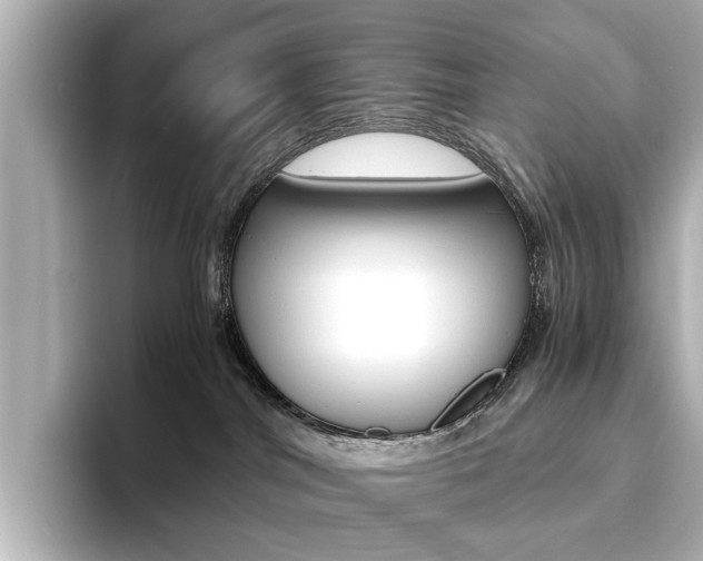 X0000093610044200710151024