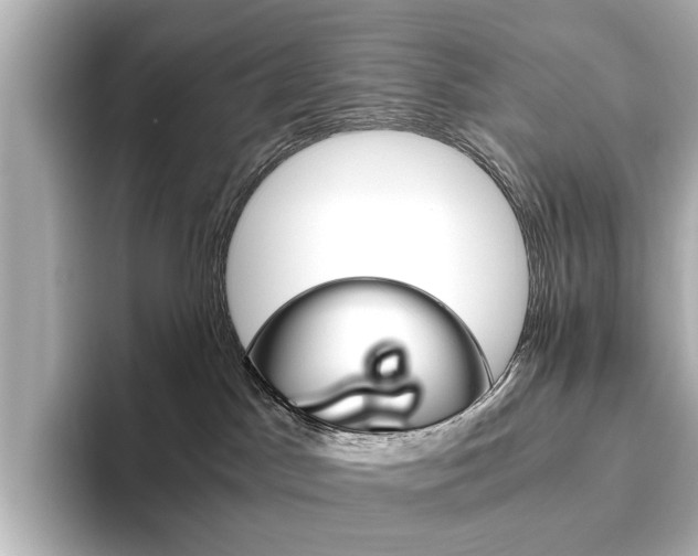 X0000093610045200710151024