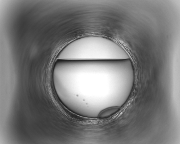 X0000093610049200710151023