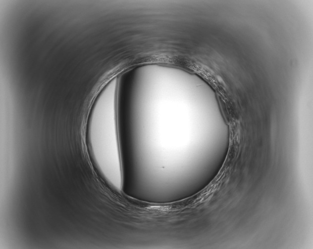 X0000093610051200710151023