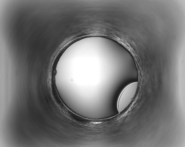 X0000093610055200710151023