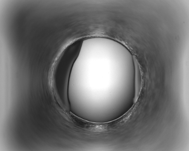 X0000093610056200710151023