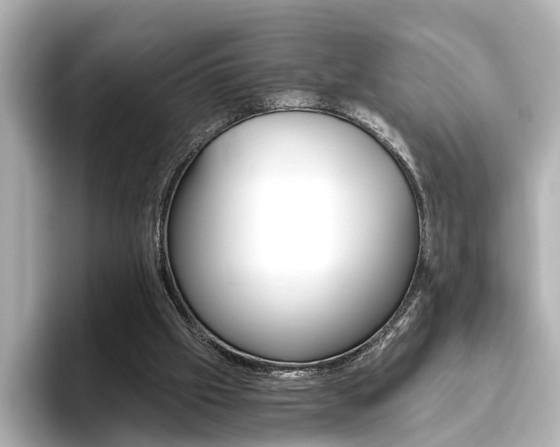 X0000093610057200710151023