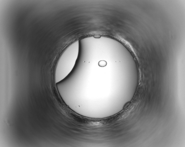 X0000093610061200710151023