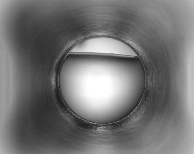 X0000093610064200710151023