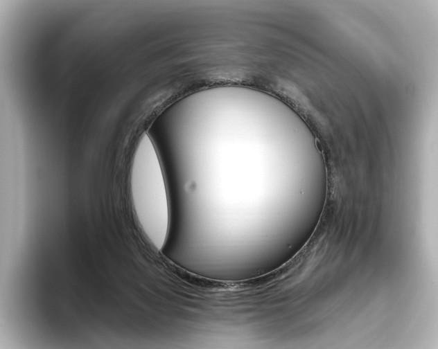 X0000093610068200710151024