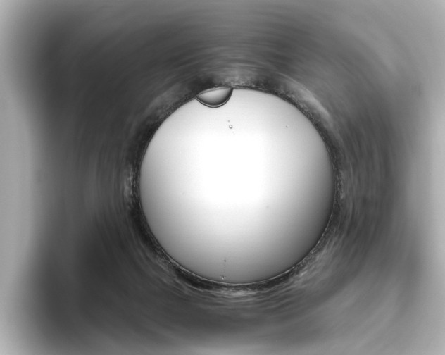 X0000093610073200710151024