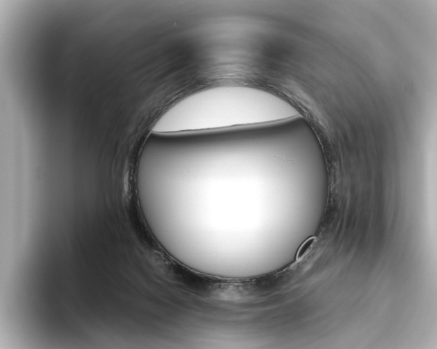 X0000093610074200710151024