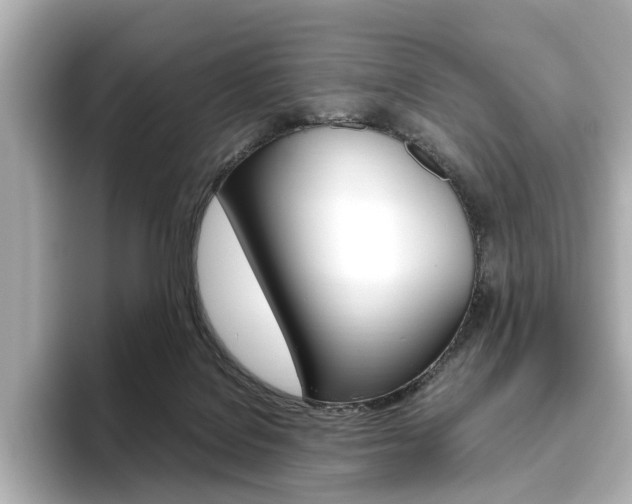 X0000093610076200710151024