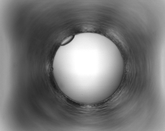 X0000093610079200710151024