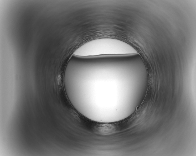 X0000093610087200710151024