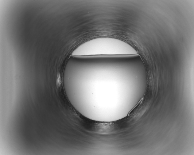 X0000093610089200710151024