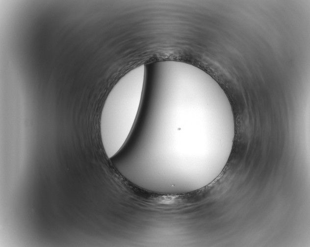 X0000093610090200710151024