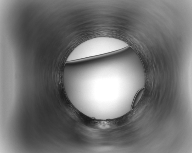 X0000093610091200710151024