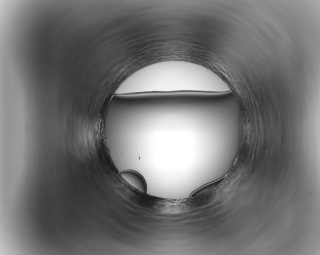X0000093610093200710151024