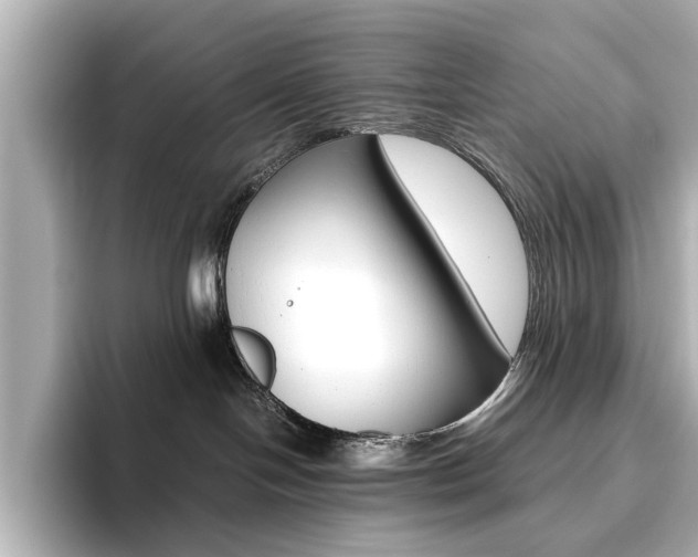 X0000093610094200710151024