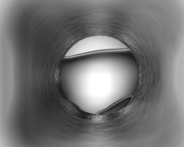 X0000093610096200710151024