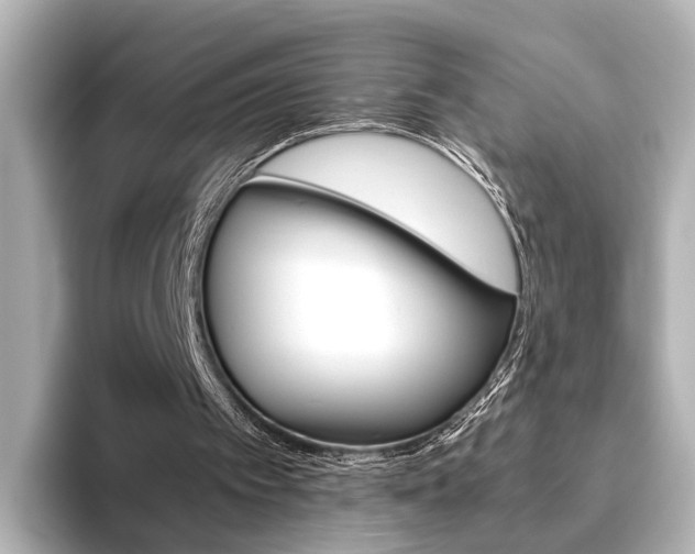 X0000093610097200710151023