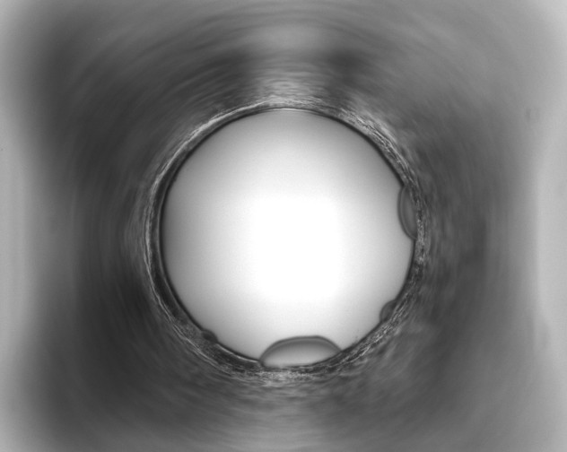 X0000093610098200710151023