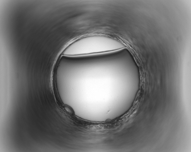 X0000093610100200710151023