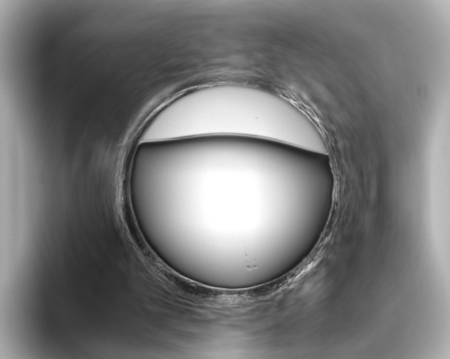 X0000093610101200710151023