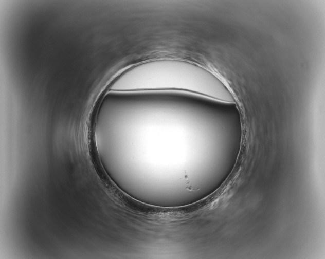 X0000093610103200710151023