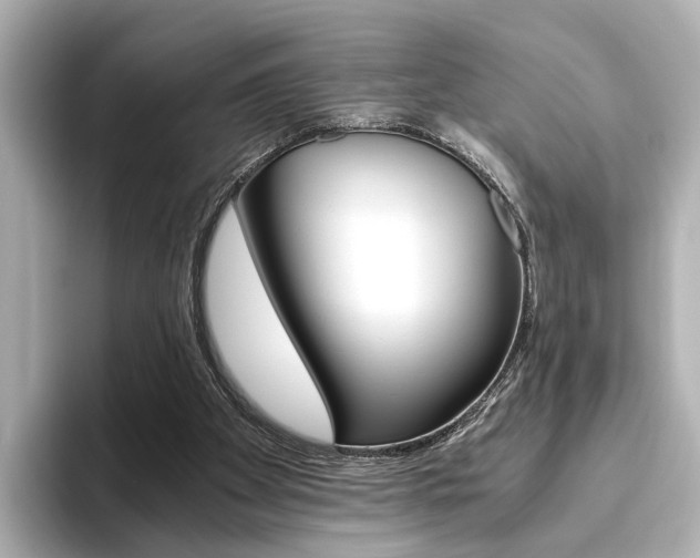 X0000093610105200710151023