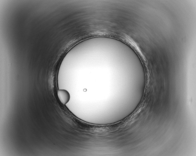 X0000093610106200710151023