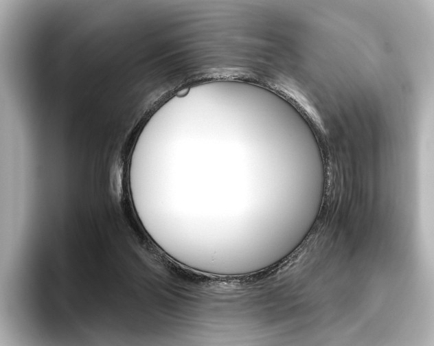 X0000093610110200710151023