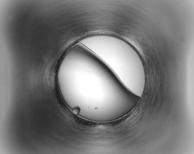 X0000093610111200710151023