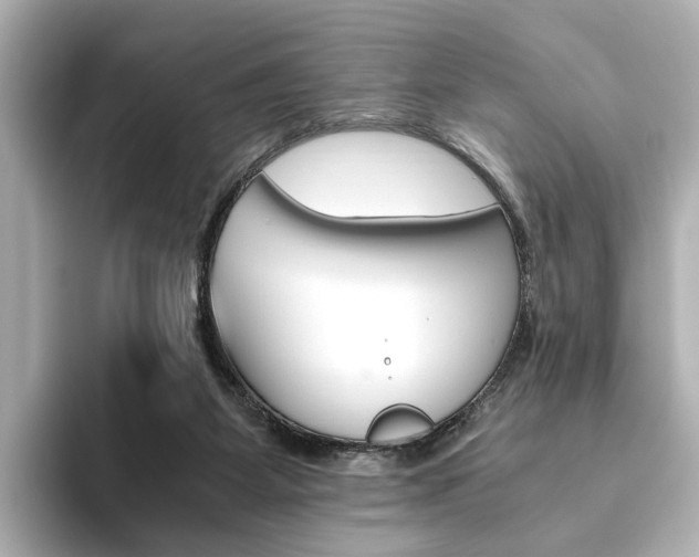 X0000093610115200710151023