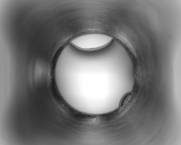 X0000093610116200710151023