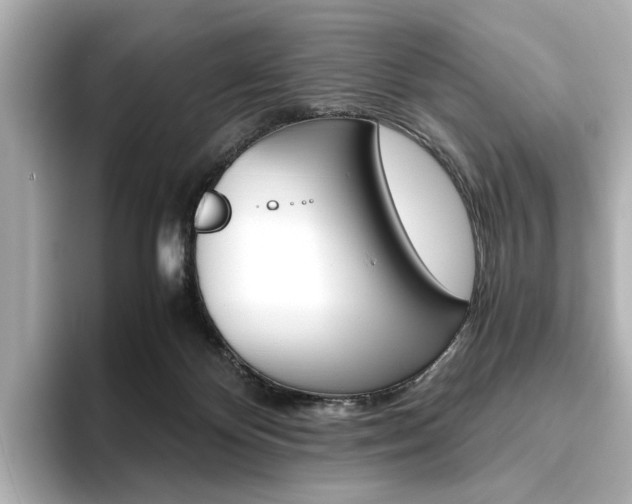 X0000093610124200710151023